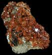 Exceptional Vanadinite Crystal Cluster - Morocco #34895-2